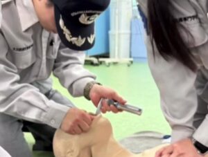 【救急救命学科２年】シミュレーション 初めての気管挿管・静脈路確保🚑